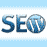 Профессиональная SEO оптимизация ресурсов и страниц на WordPress